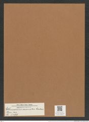 Coscinodiscus coronatus Castrac. (de-Toni-Nr.: Genus 202, Species 5197) Zeichnungen Sammlung Grunow Mappe 04919 (Herbarium_W_Grunow_drawings_Folder_04919)